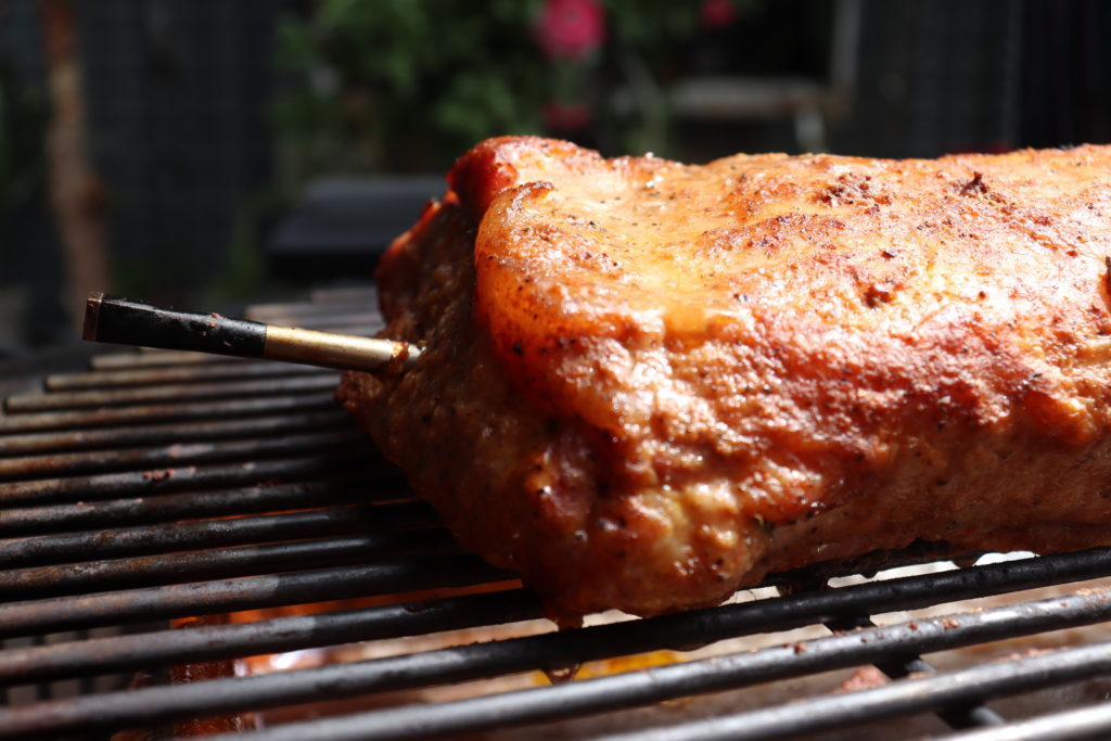 TERMOMETRO MIDIENDO CARNE
